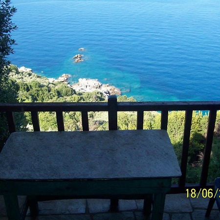 Apartments In Mylopotamos מראה חיצוני תמונה
