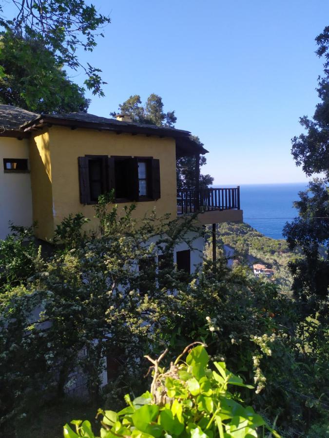 Apartments In Mylopotamos מראה חיצוני תמונה
